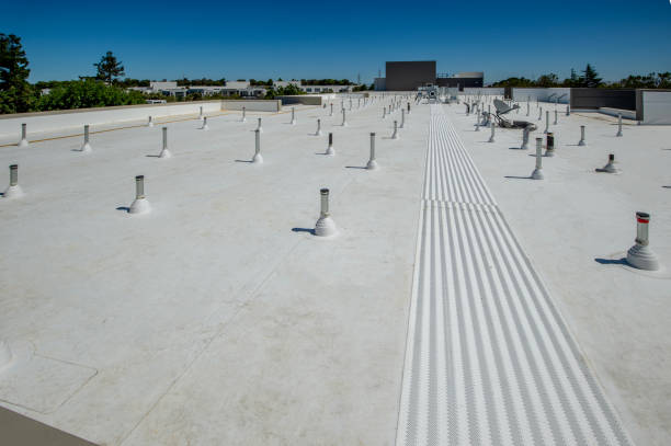 Best Roof Moss and Algae Removal  in San Dimas, CA